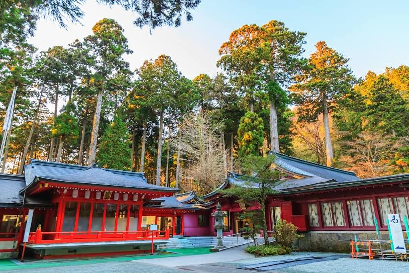 Hakone Shrine, 하코네 초