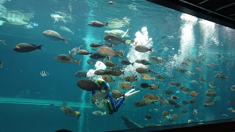 Hakone-en Aquarium, 