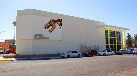 Museum of Paleontology Delicias, Delicias