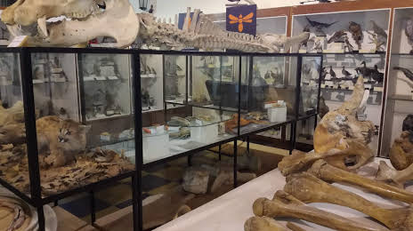 Museo De Historia Natural De San Rafael, 