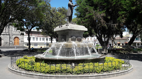 Pedro Moncayo Park, 