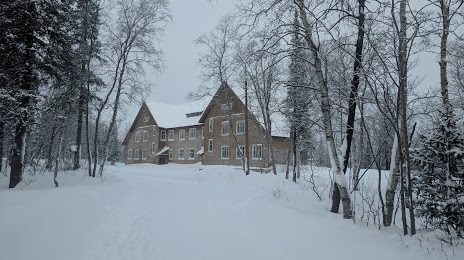 Polyarno-Al'piyskiy Botanicheskiy Sad-Institut Im. N.a. Avrorina Knts Ran, Kírovsk