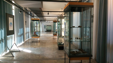 Museo archeologico provinciale di Potenza, 