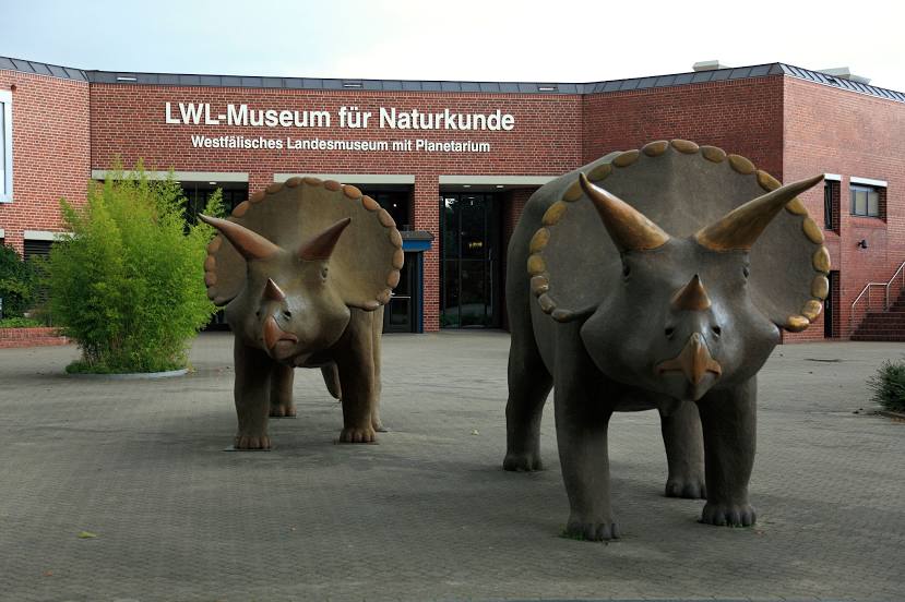 LWL Museum of Natural History with Planetarium, Μίνστερ