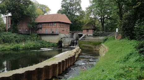 Dümmert Park, Münster