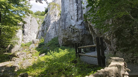 Upper Cave Wierzchowska, Kraków