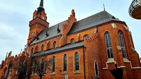 Cathedral Church. Holy Family (Bazylika Katedralna Narodzenia NMP w Tarnowie), Τάρνοου