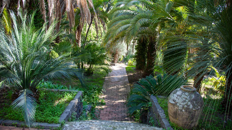 Giardino Botanico Parco Paternò del Toscano, Acireale