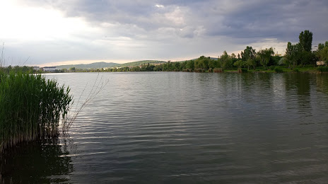 Törökbálinti-tó, 