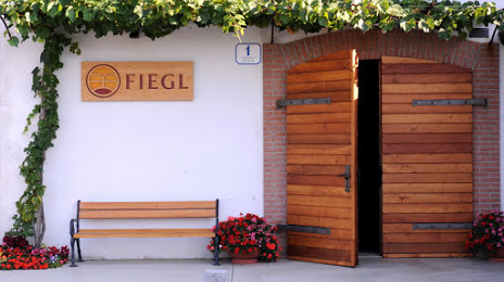 Fiegl, Gorizia