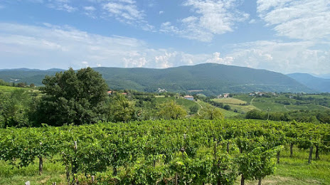 Draga-Miklus winery, Gorizia