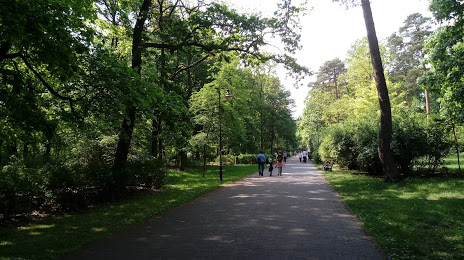City Park (Park Miejski), 