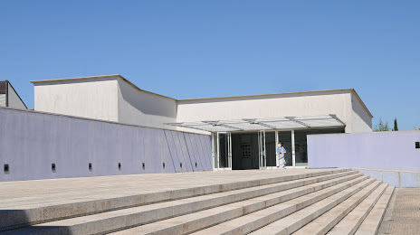 Museum of archeology D. Diogo de Sousa, 