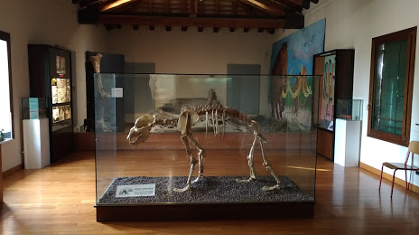 Museo Civico di Storia Naturale “La Terra e l'Uomo”, 