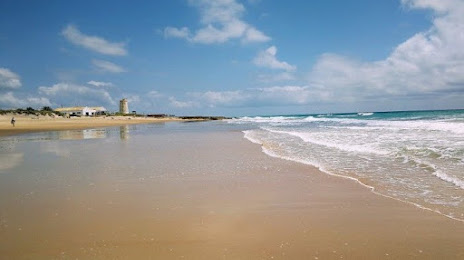 Playa del Palmar, Conil