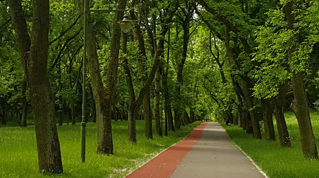 Piłsudskiego Park, Łódź