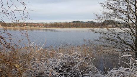 Jezioro Straduńskie, Elk
