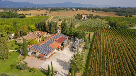 San Luciano vini di Toscana, 