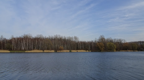 Katowice Forest Park, Katowice