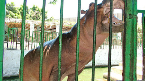 حديقة حيوان بني سويف, Bani Suwaif
