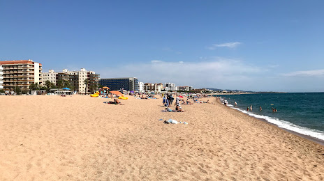 Playa de Levante, Malgrat de Mar