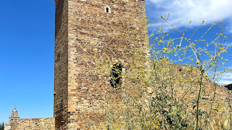 Castillo de Villanueva de Jamuz, 