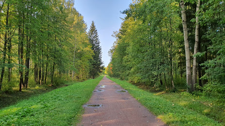 Babolovsky Park, Krasnoye Selo