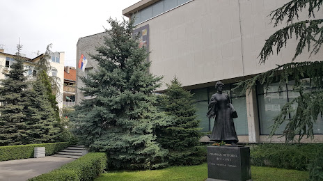 The Pavle Beljanski Memorial Collection Spomen-zbirka Pavla Beljanskog, Petrovaradin