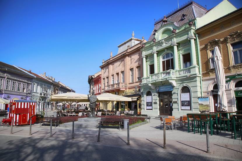 Dunavska, Petrovaradin