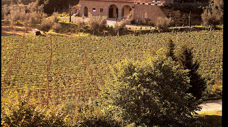 Baracchi Winery, Castiglion Fiorentino