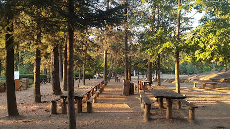Parco di Lignano - Rigutinelli, Castiglion Fiorentino