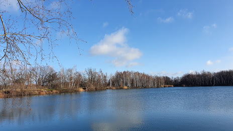 Озеро Вензер, Пайне