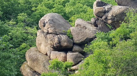 Pákozdi-ingókövek természetvédelmi terület, Székesfehérvár