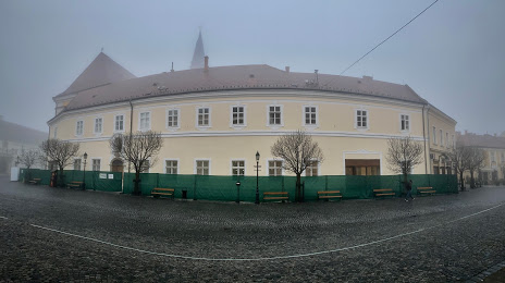 Székesfehérvári Egyházmegyei Múzeum, Székesfehérvár