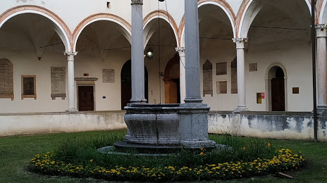 Chiostro degli Olivetani, Rovigo