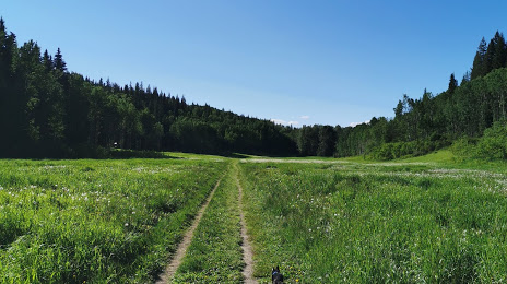 Moore's Meadow Nature Park, Prince George