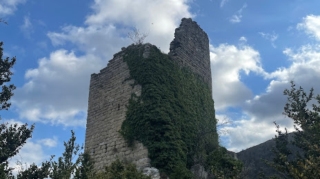 Castell de Blancafort, Berga
