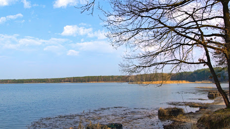 Jezioro Zemborzyckie, 