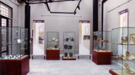 Museo Archeologico Civico di Codroipo, 