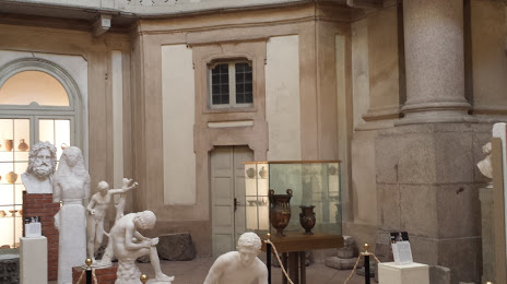 Museo di Archeologia dell'Università di Pavia, Pavía