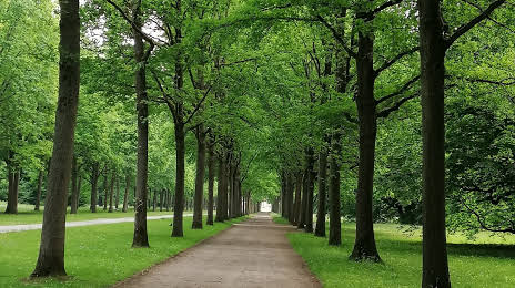Aue Park, Kassel