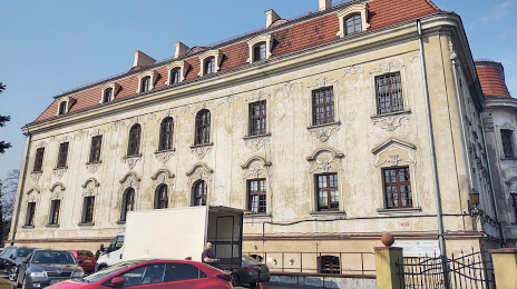 Pałac w Sośnicowicach, 