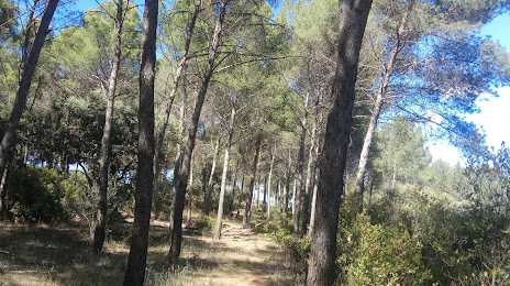 Parque Forestal La Atalaya, Miguelturra