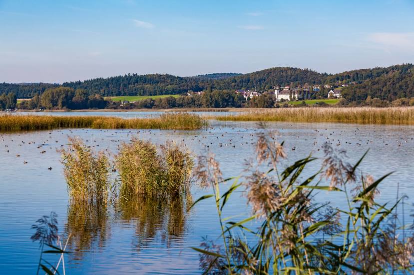 Wollmatinger Ried - Untersee - Gnadensee, Constance