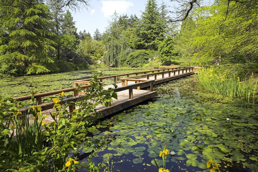 VanDusen Botanical Garden, North Vancouver
