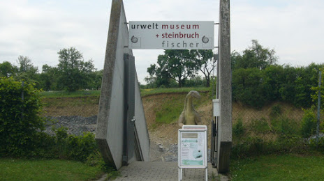 Urweltsteinbruch Holzmaden e.V., Kirchheim unter Teck