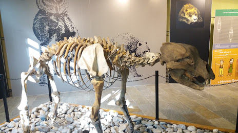 Museo di Archeologia e Paleontologia Carlo Conti, 