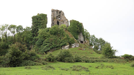 Carrigogunnell Castle, 