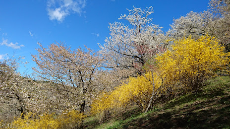 Saimyoji Shiseki Park, 