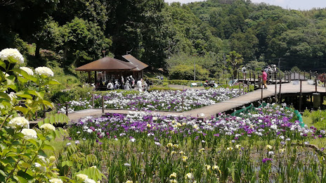 Ninomiyaseseragi Park, 